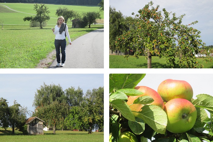 Spaziergang