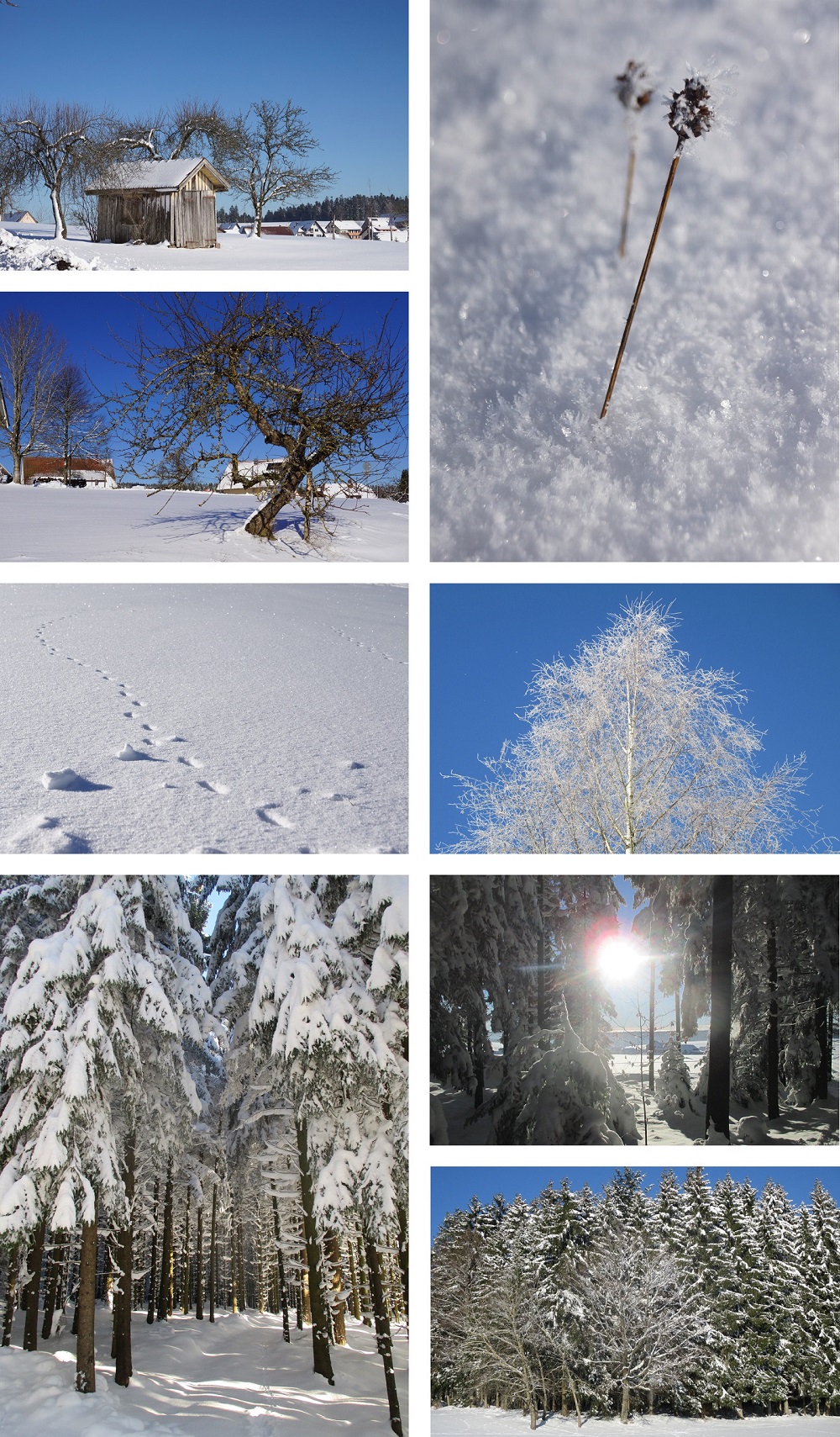richtiger Schnee