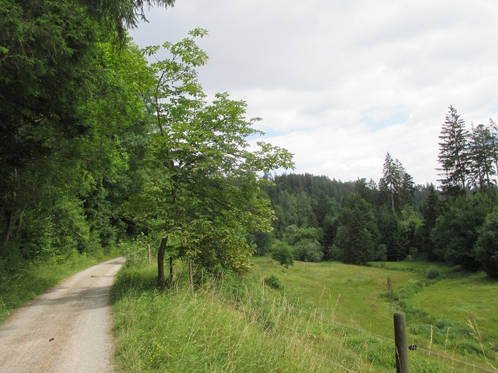 Weg